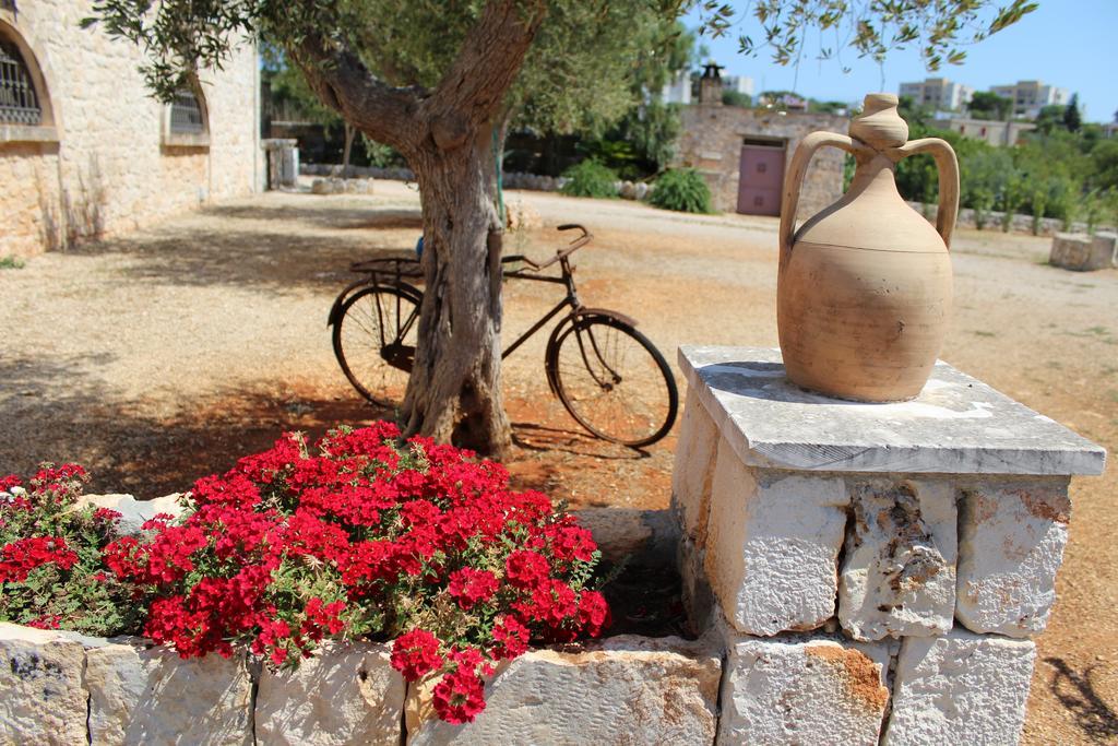 Masseria Tolla ออสตูนี ภายนอก รูปภาพ